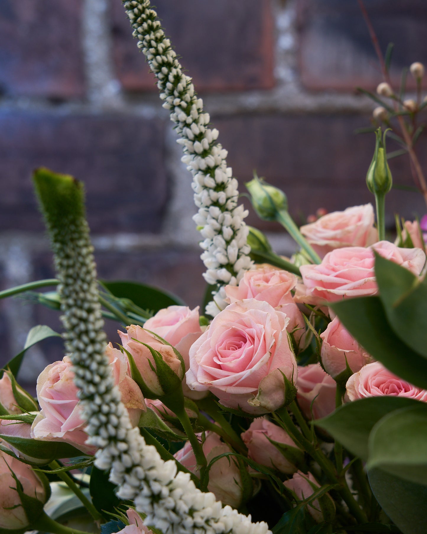 Rose Hand Tied Bouquet (Pictured £40)