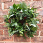 Bespoke Fresh Winter Wreath