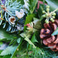Bespoke Fresh Winter Wreath