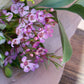 Florist's Choice - Hand Tied Bouquet (Pictured £15)