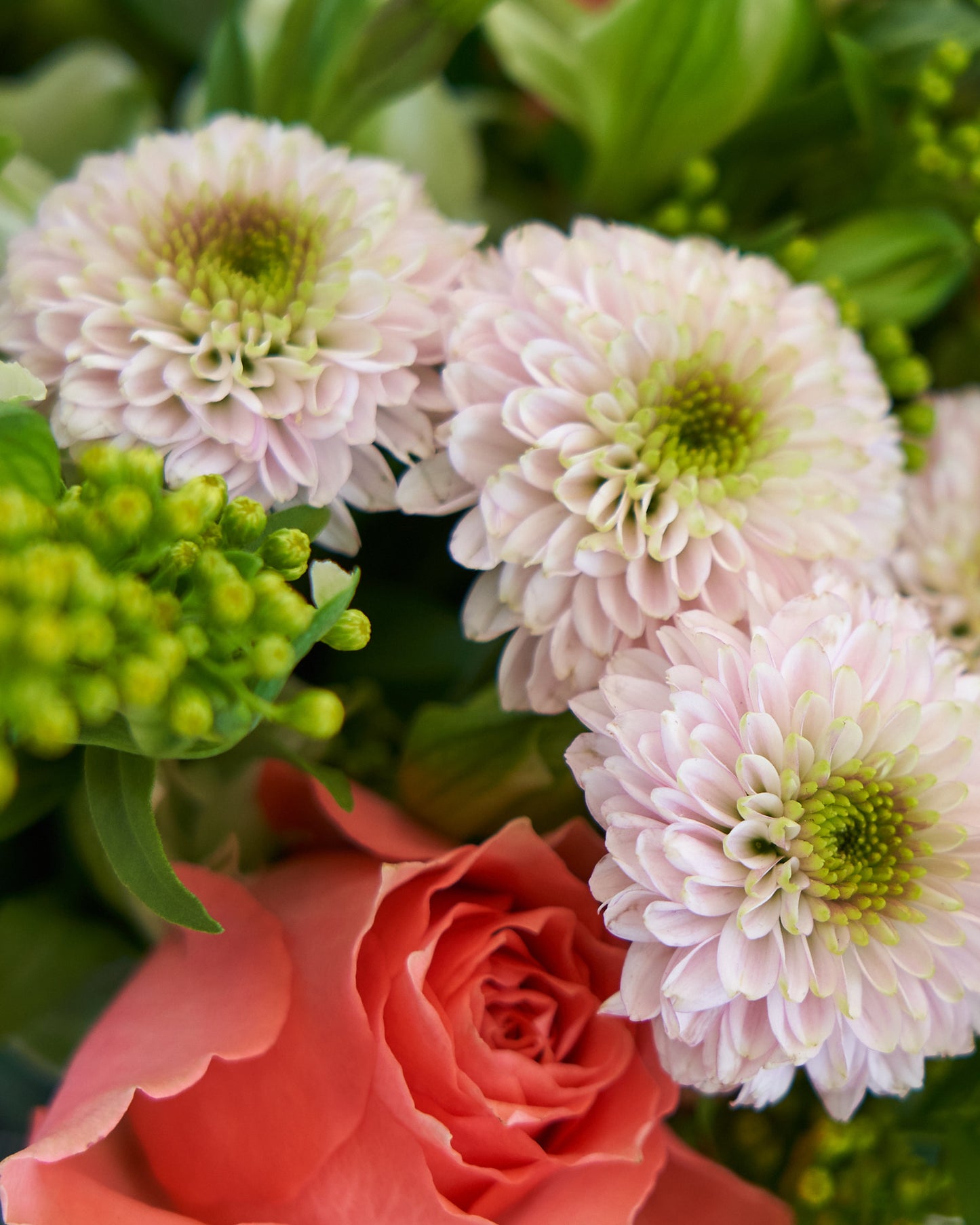 Florist's Choice Hand Tied Bouquet In Aqua Box (Pictured £20)