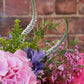 Bespoke Hand Tied In Aqua Box (Pictured £50)
