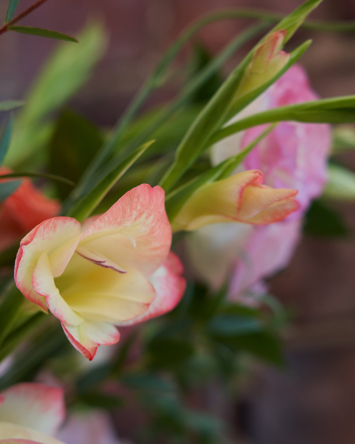 Florist's Choice Seasonal Hand Tied Arrangement In Hailey Glass Jar