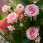 Florist's Choice Seasonal Hand Tied Arrangement In Hailey Glass Jar