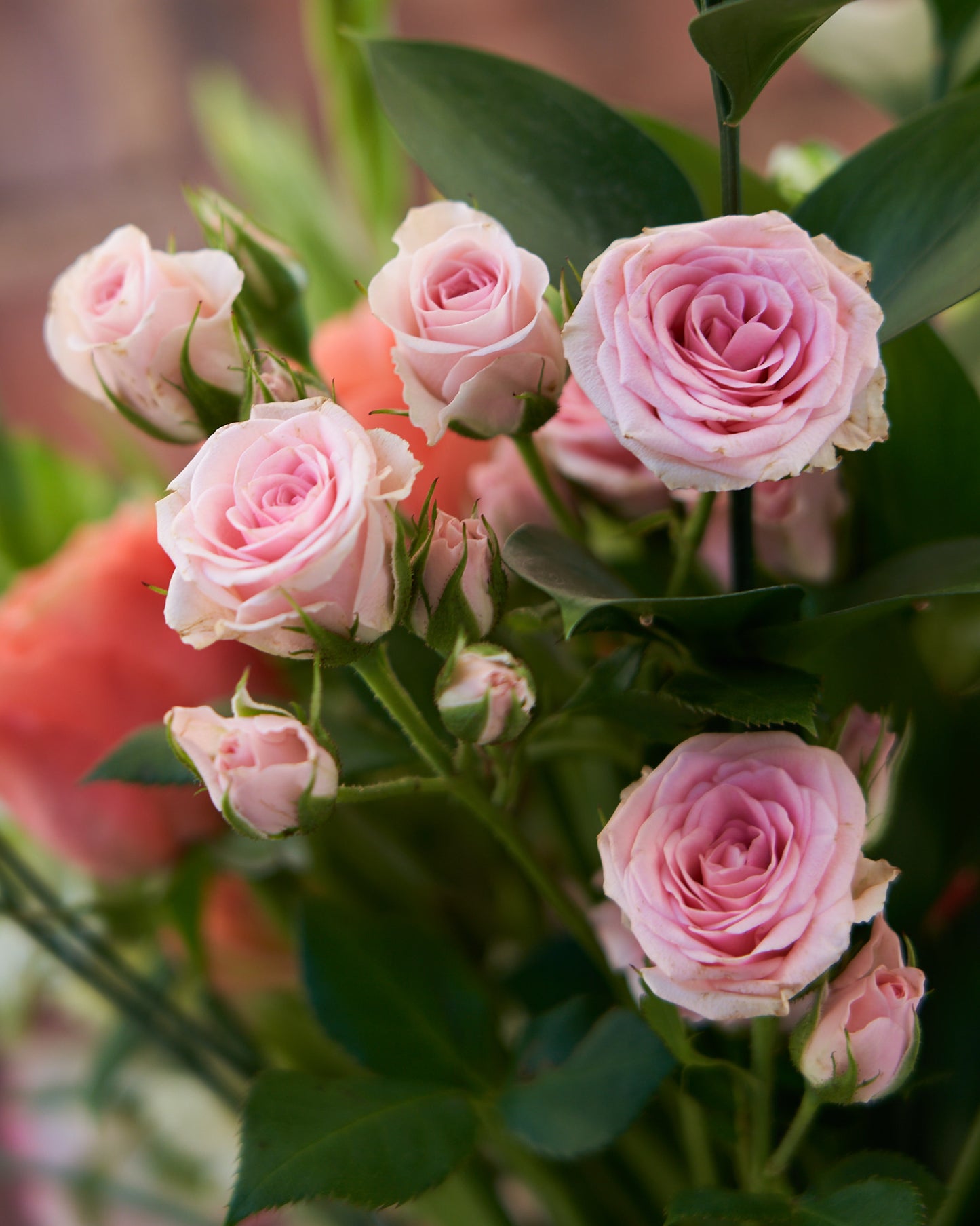 Florist's Choice Seasonal Hand Tied Arrangement In Hailey Glass Jar