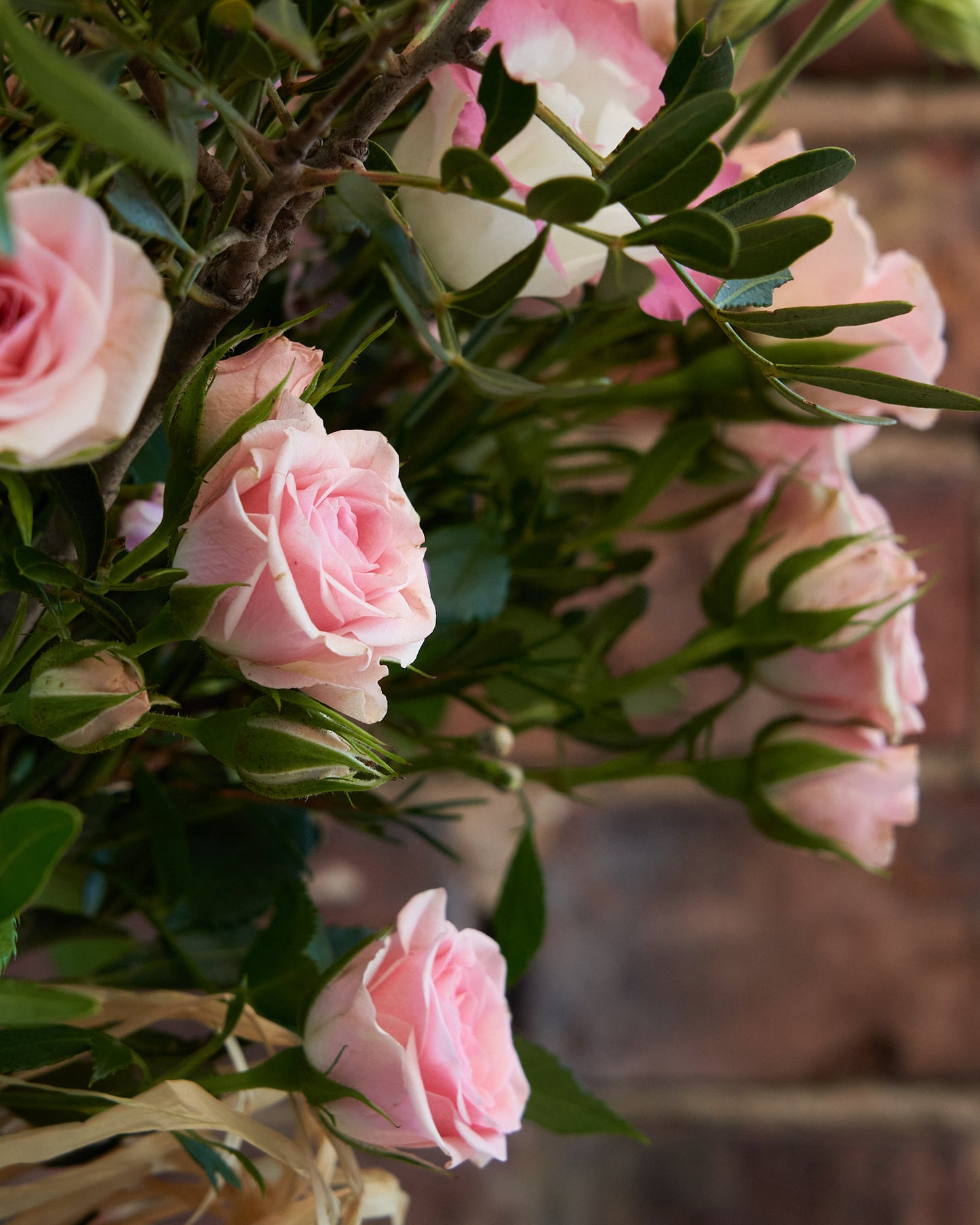 Rose Hand Tied Bouquet (Pictured £40)