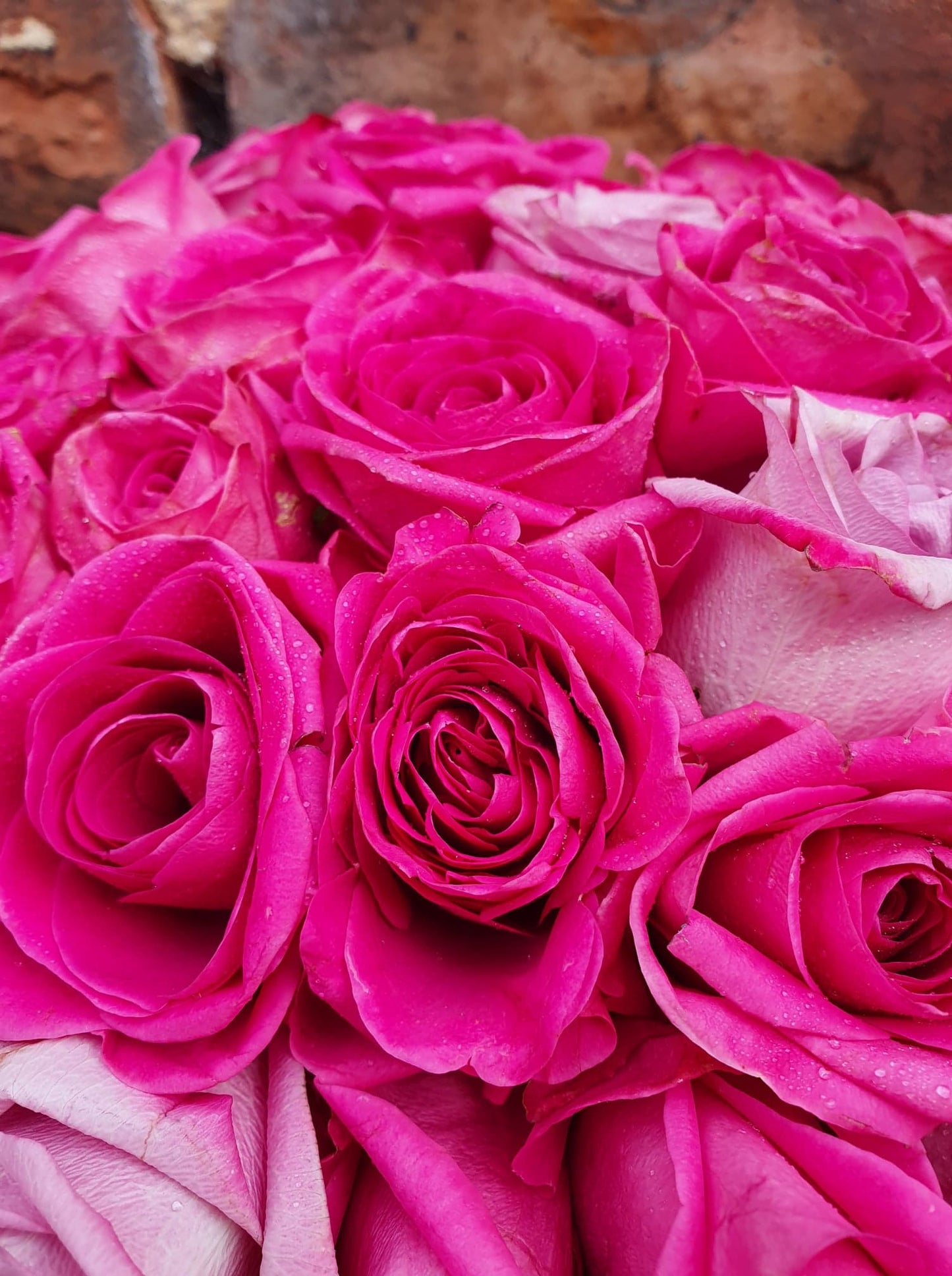 Simply Roses Hatbox (Pictured £40)